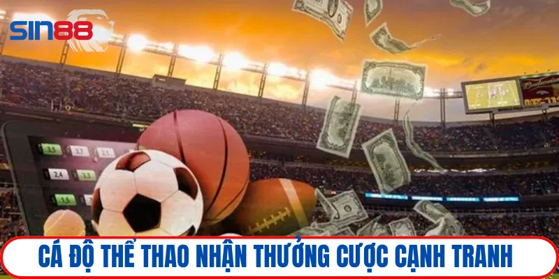 Mức cược và thưởng thể thao đầy cạnh tranh