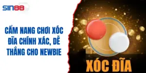 Cẩm Nang Chơi Xóc Đĩa Chính Xác, Dễ Thắng Cho Newbie