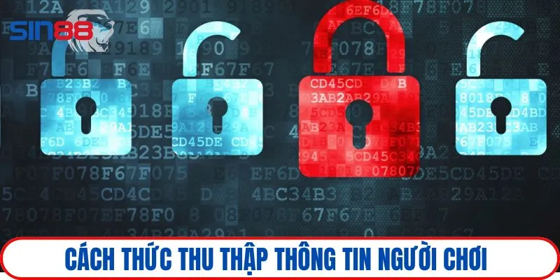 Nhà cái thu thập dữ liệu khách hàng bằng nhiều biện pháp an toàn